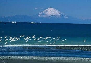Tateyama Seaside Hotel מראה חיצוני תמונה