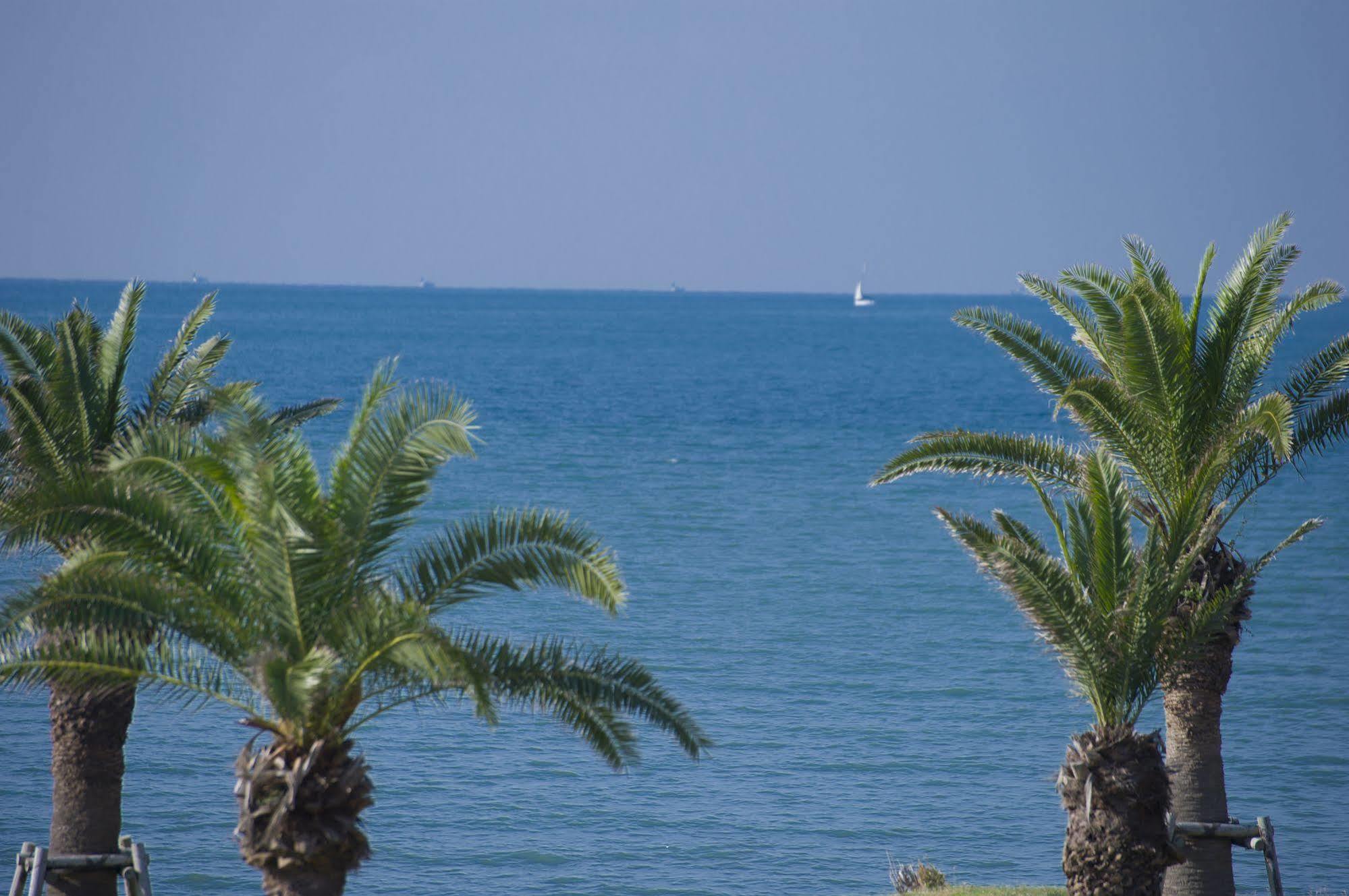 Tateyama Seaside Hotel מראה חיצוני תמונה